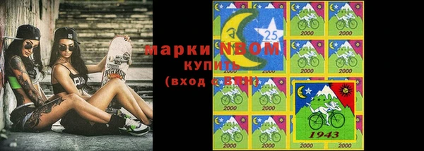 соль ск Надым