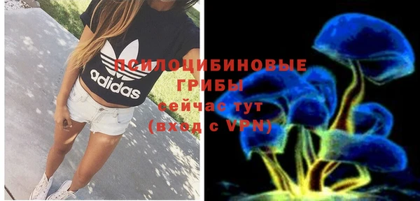 дурь Алексин