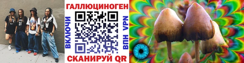 Галлюциногенные грибы прущие грибы  Поронайск 